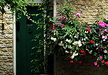 Thatch Cottage B and B