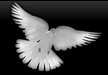 Stoneman Funeral Service