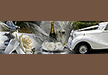 Cloud Nine Wedding Cars
