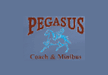 Pegasus Executive Travel