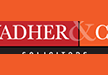 View Vadher & Co website