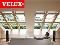 Velux Windows