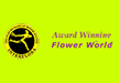 View Award Winning Flower World website