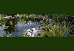 Moygannon Nurseries and Garden Centre