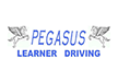 Pegasus Learner Driving