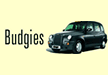 www.wheelchairtaxis.net