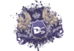 Direct Signs (Northern) Ltd