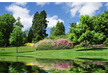 Fraser Turf  Ltd