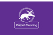 Aardvark Carpet Cleaning