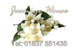 Jasmine House