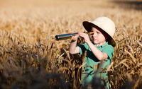 Spring into action with 20% off Market Research