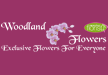 Woodland Flowers