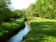 The Snug river walk