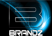 View Brandz website