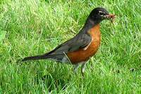 Early Bird Deal - Save 10% (Telephone Only)